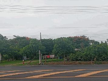 ขายด่วน! ที่ดินสวนเกษตรผสมผสานสไตล์รีสอร์ท อ.พัฒนานิคม จ.ลพบุรี พร้อมบ้านและสิ่งปลูกสร้างครบครัน โทร 063-3832910